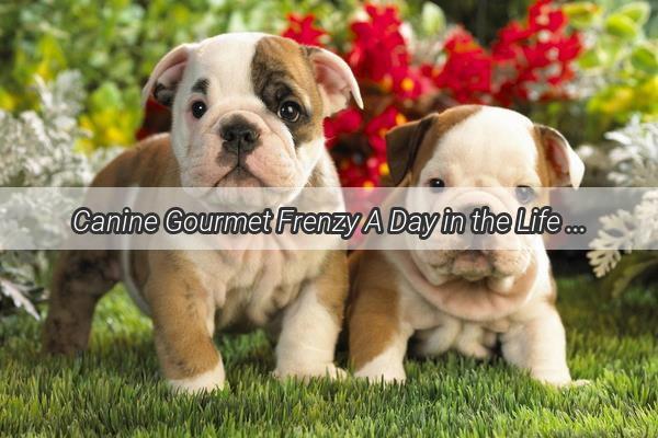 Canine Gourmet Frenzy A Day in the Life of a Dogs Canned Delights